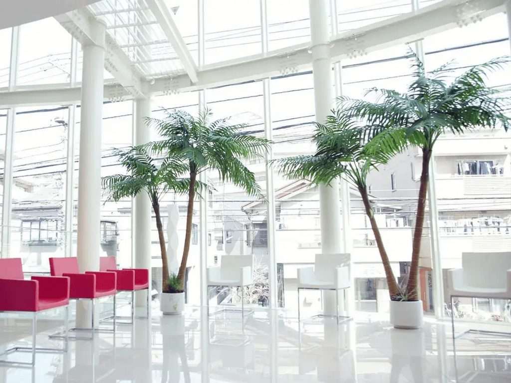 ZAGA Center Tokyo 3